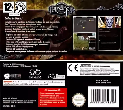 Image n° 2 - boxback : Mazes of Fate DS